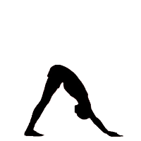 Сурья намаскар - приветствие солцу йога