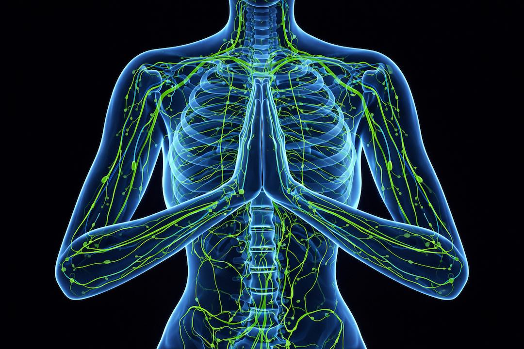 лимфодренажная йога - Йога Разума