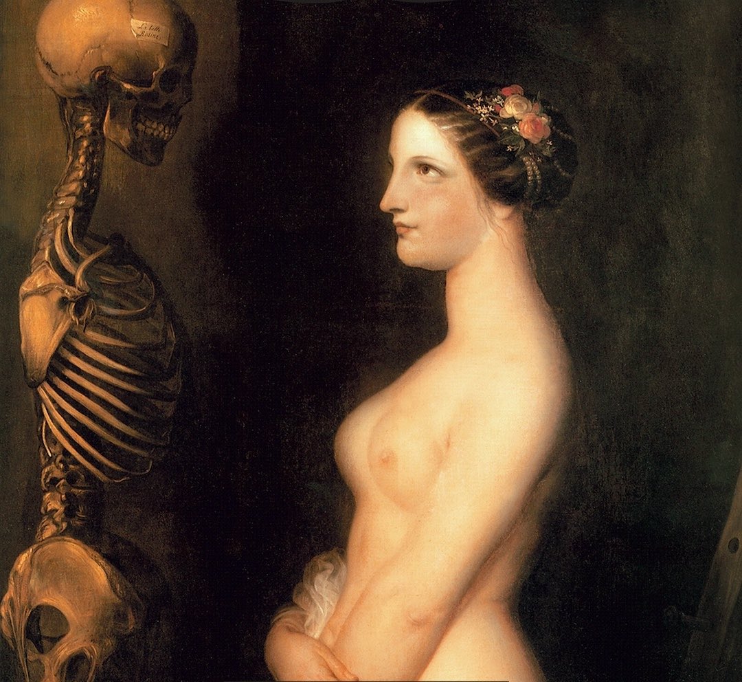 шопенгауэр метафизика половой любви - Йога Разума