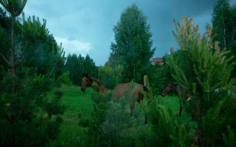 Выездной ретрит дыхания Казань — природа место духовной практики трансформации